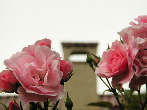 ベーリック・ホールの薔薇 ベーリック・ホール(32kb)