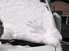 雪に手形(11k) 