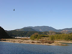 酒谷川と小松山(9k) 