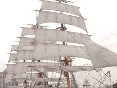 帆船日本丸の帆(11k) 