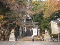 師岡熊野神社(17k) 