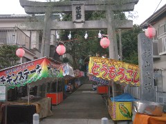 六角橋杉山神社(18k) 