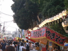 菊名神社(18k) 17日撮影