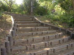 擬木の階段(18k) 9日撮影